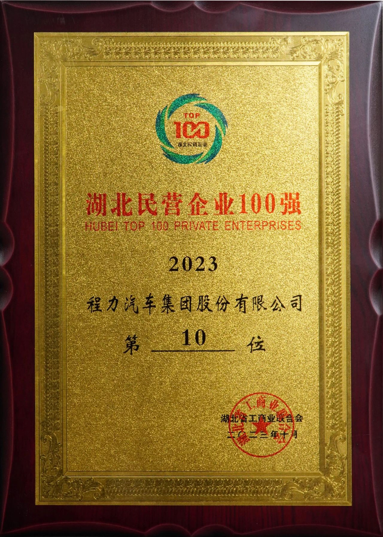 湖北民营企业100强DG视讯集团